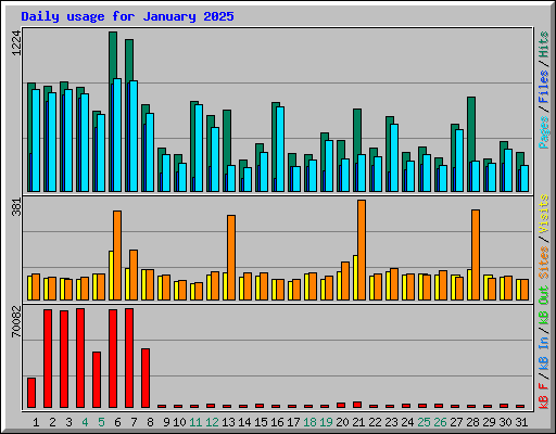 Daily usage for January 2025