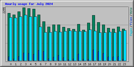 Hourly usage for July 2024