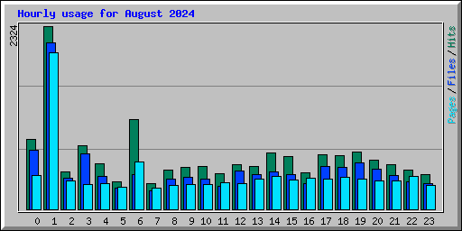 Hourly usage for August 2024