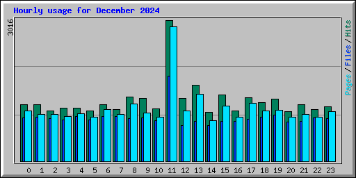 Hourly usage for December 2024