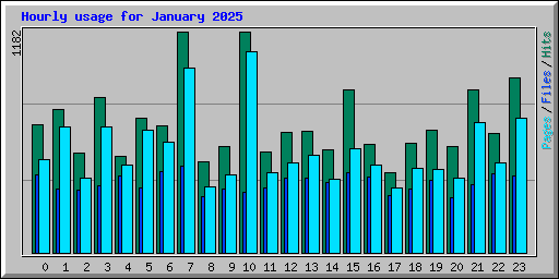 Hourly usage for January 2025