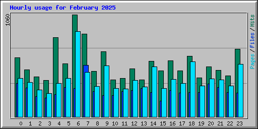 Hourly usage for February 2025