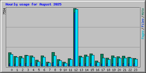 Hourly usage for August 2025