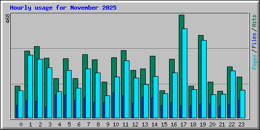 Hourly usage for November 2025