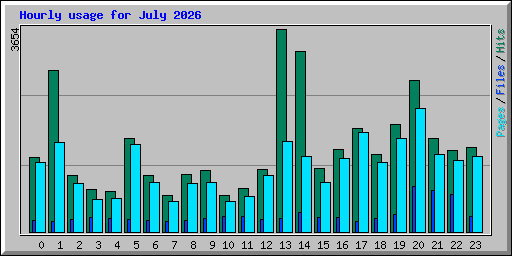 Hourly usage for July 2026