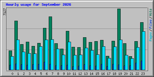 Hourly usage for September 2026
