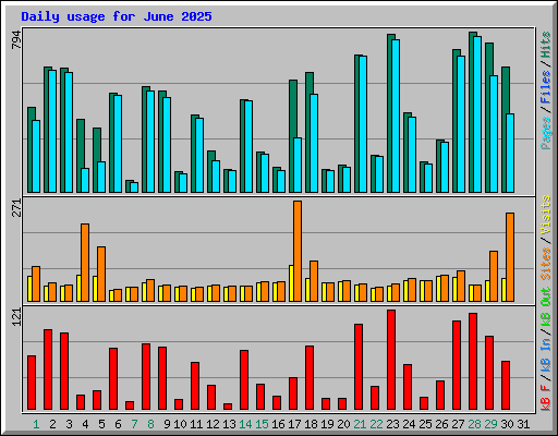 Daily usage for June 2025