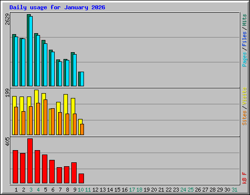 Daily usage for January 2026
