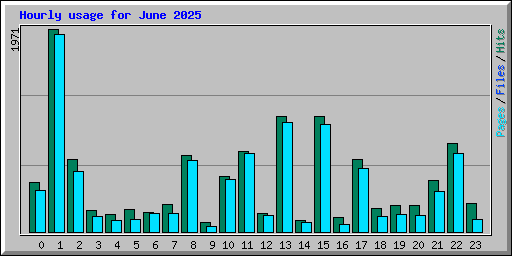 Hourly usage for June 2025