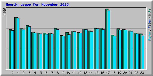 Hourly usage for November 2025