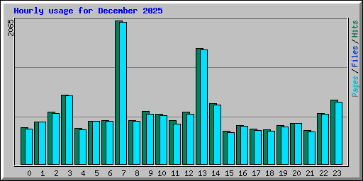 Hourly usage for December 2025