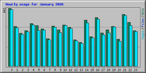 Hourly usage for January 2026