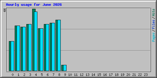Hourly usage for June 2026