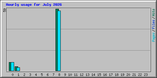 Hourly usage for July 2026