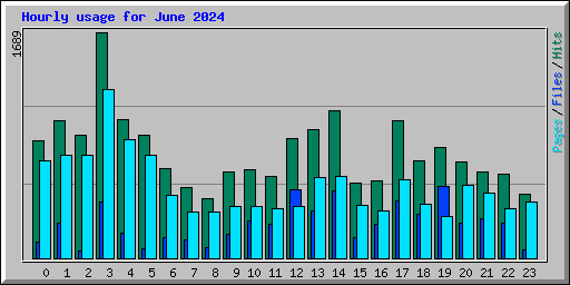 Hourly usage for June 2024