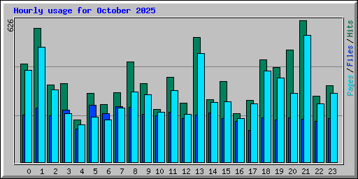 Hourly usage for October 2025