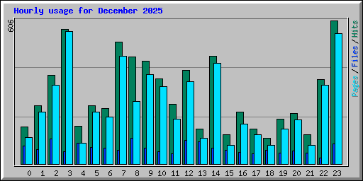 Hourly usage for December 2025