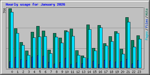 Hourly usage for January 2026