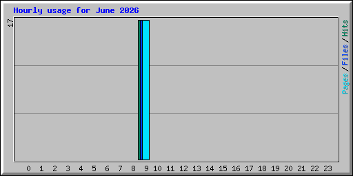 Hourly usage for June 2026