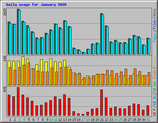 Daily usage for January 2026