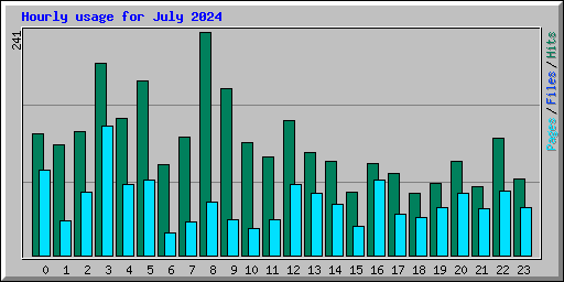 Hourly usage for July 2024