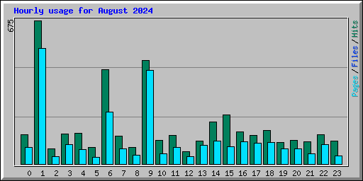 Hourly usage for August 2024