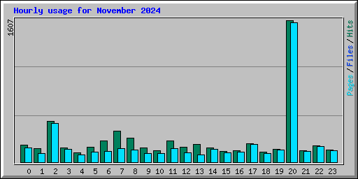 Hourly usage for November 2024