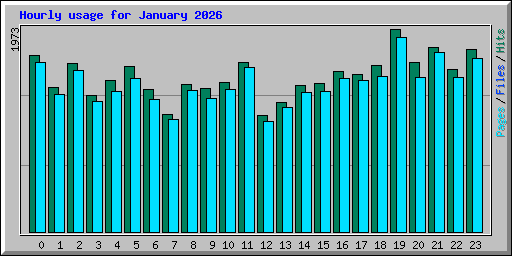 Hourly usage for January 2026